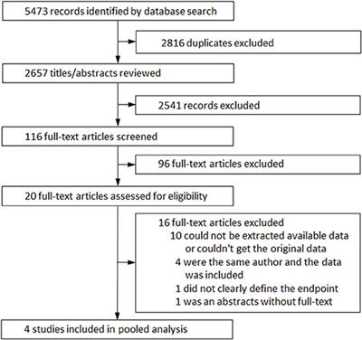 Pooled Analysis of Risk Stratification of Spontaneous Type 1 Brugada ECG: Focus on the Influence of Gender and EPS